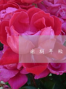逾期年检流程和价格 逾期年检流程和价格