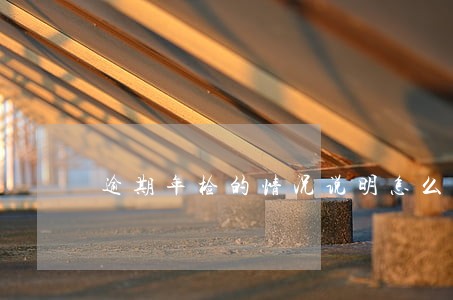 逾期年检的情况说明怎么写 逾期年检的情况说明怎么写