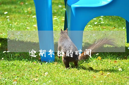 逾期年检的时间 逾期年检的时间