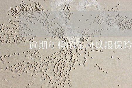 逾期年检的车可以报保险吗 逾期年检的车可以报保险吗