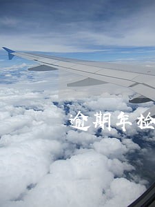 逾期年检网上能处理吗 逾期年检网上能处理吗
