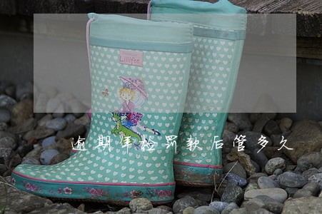 逾期年检罚款后管多久 逾期年检罚款后管多久