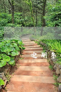 逾期年检罚款嘛 逾期年检罚款嘛