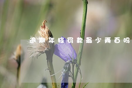 逾期年检罚款最少两百吗 逾期年检罚款最少两百吗