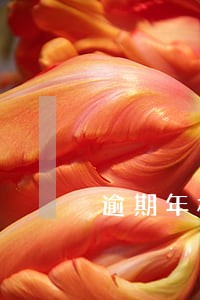 逾期年检被扣车要不要叫拖车 逾期年检被扣车要不要叫拖车