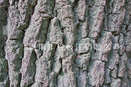 逾期年检被注销怎么办 逾期年检被注销怎么办