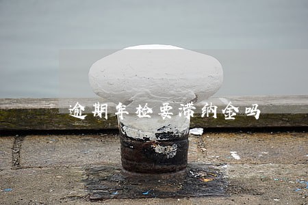 逾期年检要滞纳金吗 逾期年检要滞纳金吗