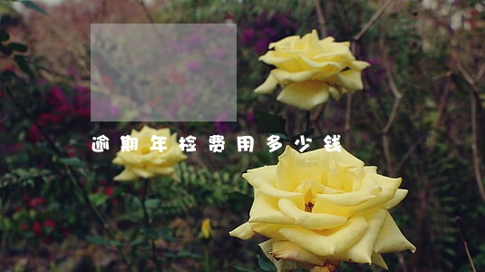 逾期年检费用多少钱 逾期年检费用多少钱
