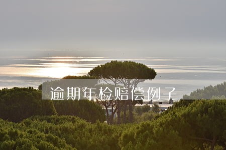 逾期年检赔偿例子 逾期年检赔偿例子