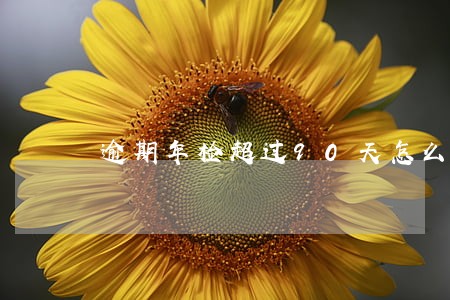 逾期年检超过90天怎么处理