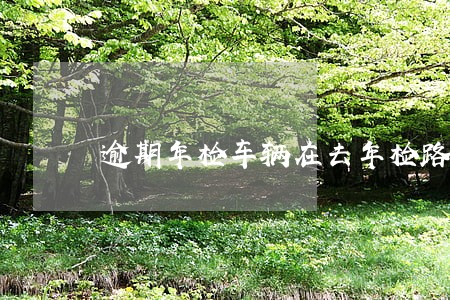 逾期年检车辆在去年检路上罚款 逾期年检车辆在去年检路上罚款