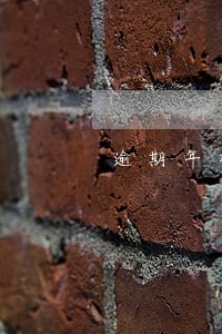 逾期年检车辆扣分罚款在哪里交 逾期年检车辆扣分罚款在哪里交