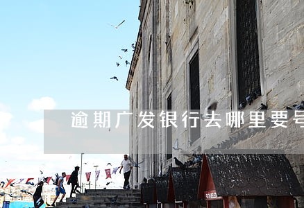 逾期广发银行去哪里要号码 逾期广发银行去哪里要号码