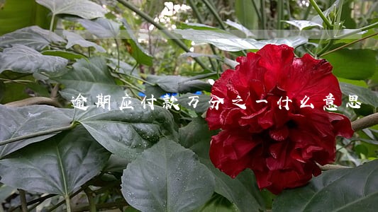 逾期应付款万分之一什么意思 逾期应付款万分之一什么意思