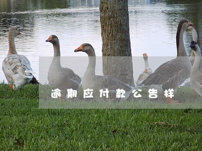逾期应付款公告样 逾期应付款公告样