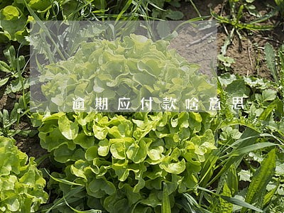 逾期应付款啥意思 逾期应付款啥意思