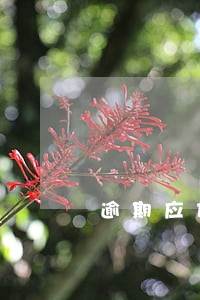 逾期应付款是全款麽 逾期应付款是全款麽