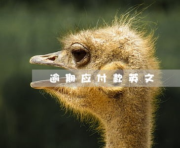 逾期应付款英文 逾期应付款英文