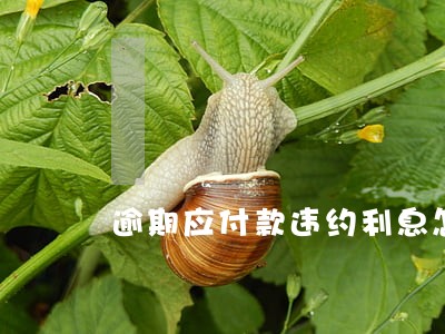 逾期应付款违约利息怎么计算 逾期应付款违约利息怎么计算
