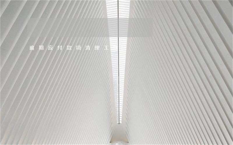 逾期应付款项清理工作 逾期应付款项清理工作