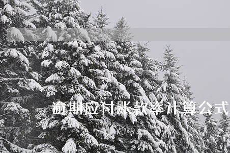 逾期应付账款率计算公式 逾期应付账款率计算公式