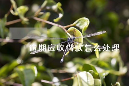 逾期应收借款怎么处理 逾期应收借款怎么处理
