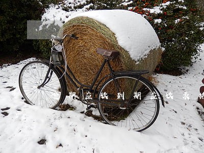 逾期应收到期应收表格