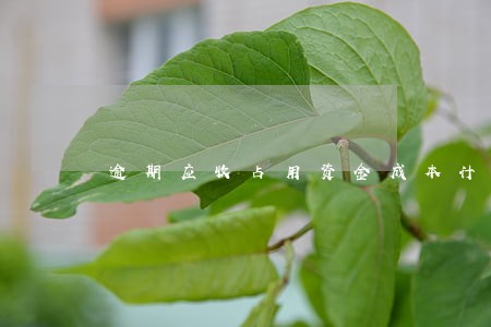逾期应收占用资金成本计算 逾期应收占用资金成本计算