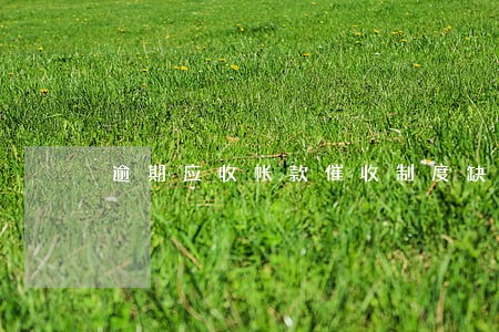 逾期应收帐款催收制度缺乏 逾期应收帐款催收制度缺乏