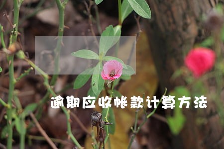 逾期应收帐款计算方法 逾期应收帐款计算方法