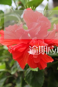 逾期应收怎么计算 逾期应收怎么计算