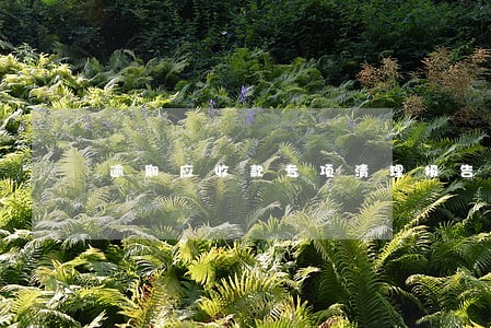 逾期应收款专项清理报告 逾期应收款专项清理报告