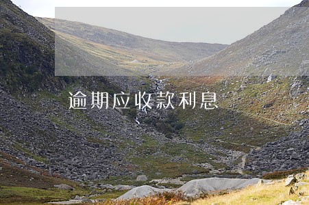 逾期应收款利息