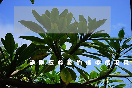 逾期应收款的催收情况及措施