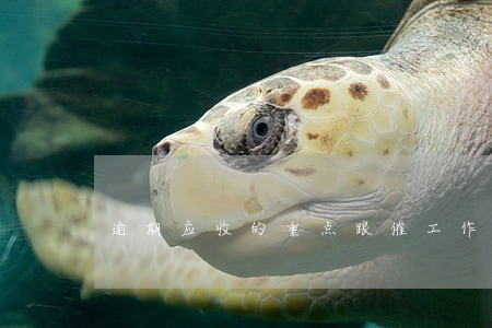 逾期应收的重点跟催工作怎么写 逾期应收的重点跟催工作怎么写