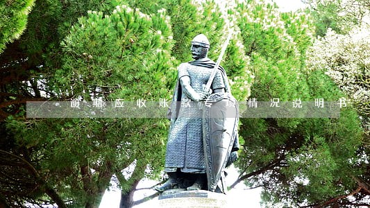 逾期应收账款专项情况说明书 逾期应收账款专项情况说明书