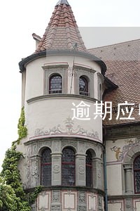 逾期应收账款专项报告 逾期应收账款专项报告