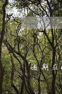 逾期应收账款催收情况汇报 逾期应收账款催收情况汇报