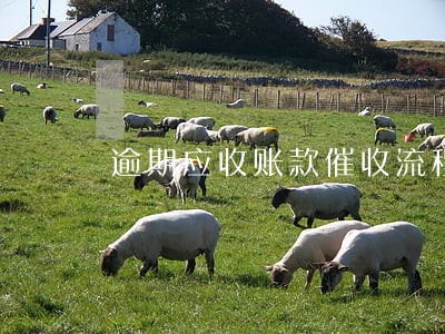 逾期应收账款催收流程 逾期应收账款催收流程