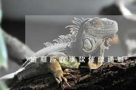 逾期应收账款催缴通知 逾期应收账款催缴通知