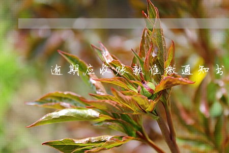逾期应收账款催缴通知书 逾期应收账款催缴通知书
