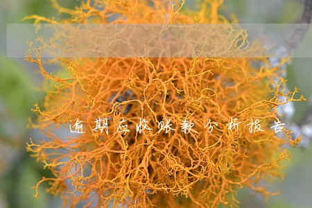 逾期应收账款分析报告 逾期应收账款分析报告