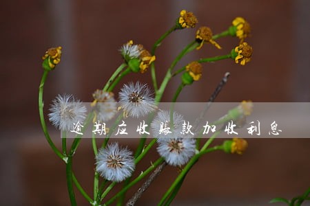 逾期应收账款加收利息 逾期应收账款加收利息