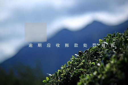 逾期应收账款处罚报告 逾期应收账款处罚报告