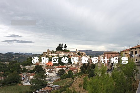 逾期应收账款审计报告