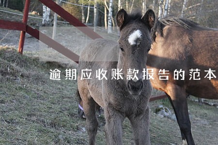 逾期应收账款报告的范本 逾期应收账款报告的范本