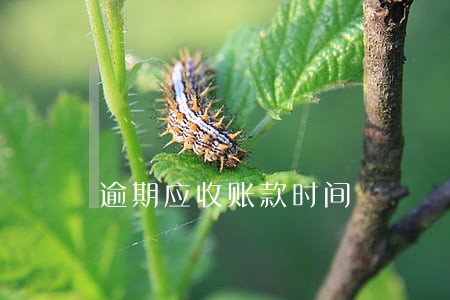 逾期应收账款时间 逾期应收账款时间