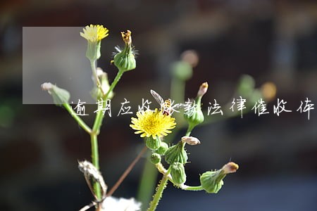 逾期应收账款法律催收体制机制 逾期应收账款法律催收体制机制