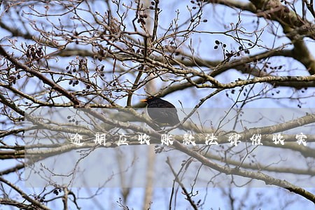 逾期应收账款法律催收实施方案 逾期应收账款法律催收实施方案
