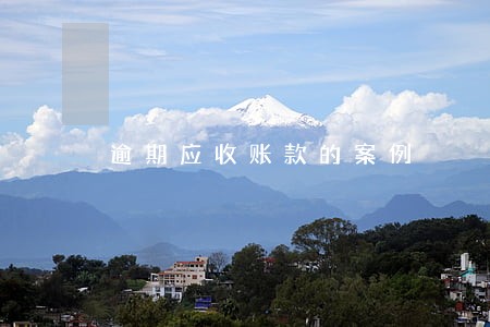 逾期应收账款的案例 逾期应收账款的案例